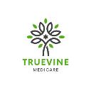 Truevine Insurance Solutions logo